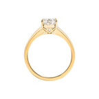 Sadie Oval Ring