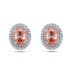 14K Two Tone Fancy Pink Oval Cut Diamond Stud Earrings W/ Halo 2.88ctw