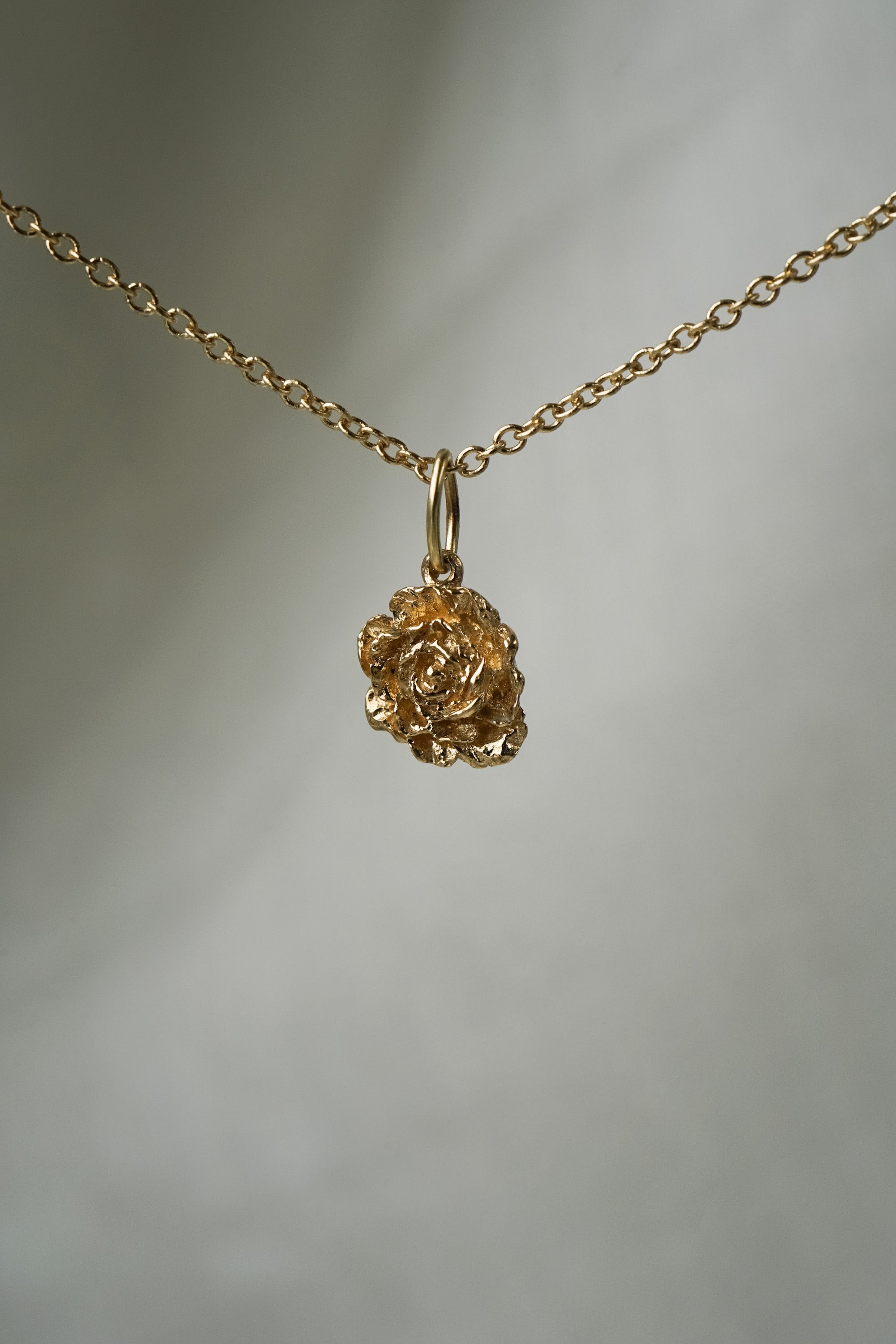 Ranunculus Charm